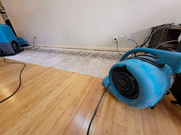 Professional Water Damage Repair technician working in Rapid City, SD